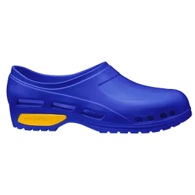BLANCA CLOG